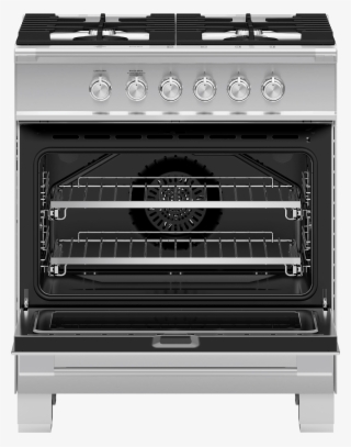 Fisher Paykel Induction Range