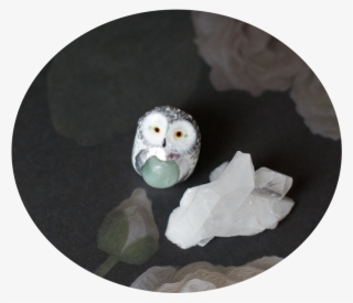 Sacred Snowy Owl Talisman