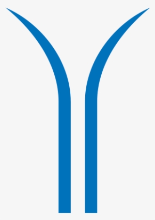 Silicone Sealants & Coating