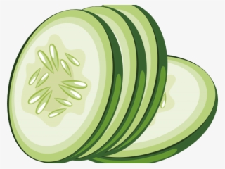 Lime Clipart Cucumber Slice - Cucumber Slices Clipart