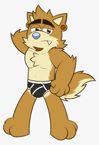 Dingo Briefs - Cartoon