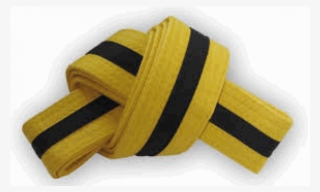 Yellow Belt With Black Stripe