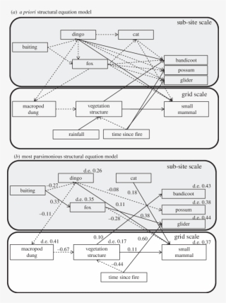 A Priori Piecewise Structural Equation Model Describing - Diagram