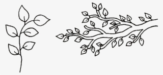 1417 X 686 11 - Branches With Leaves Drawing