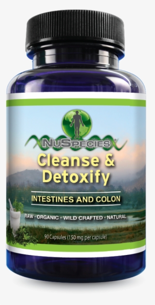 cleanse & detox intestines and colon - stallion