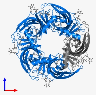 <div Class='caption-body'>pdb Entry 5afm Contains 4 - Circle