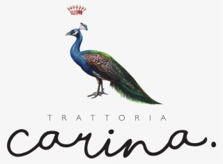Hospitality Image - Peafowl