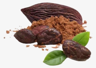 Cacao Y Chocolate Png