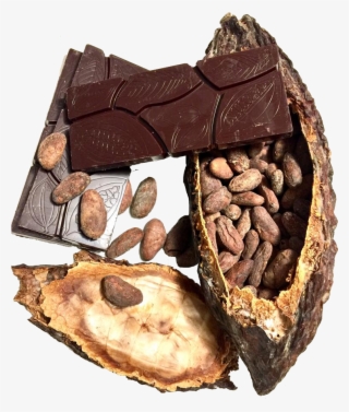 Ciocolata - Chocolate
