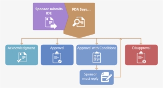 Fda Responses - Diagram