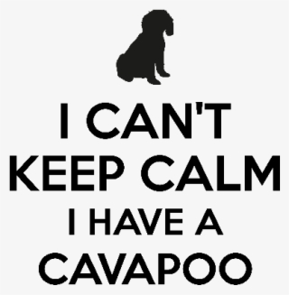 I Cant Keep Calm I Have A Cavapoo - Silhouette