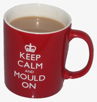 'keep Calm And Mould On' Mug