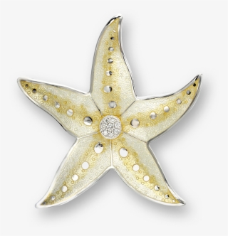 Nicole Barr Designs Sterling Silver Starfish Brooch-yellow - Starfish