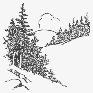 Pine Tree Clipart Scenery - Black And White Pine Trees Clipart