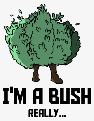Frankkesh Fortnite Bush Home Png Potions Bush Fortnite - Fortnite Bush Cartoon