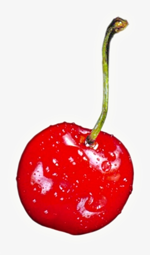 Cherry Free Download Png - Red Cherries Fridge Magnet Stocking Filler, Ref:f-f3fm