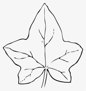 This Free Icons Png Design Of Ivy Leaf 2