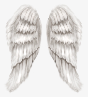 Angel Wings Transparent