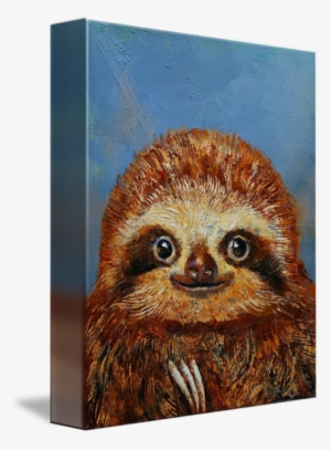 "baby Sloth" By Michael Creese, // // Imagekind - Canvas Print