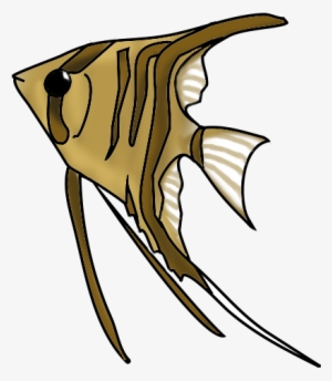 Orange Cat Fish Png - Fish
