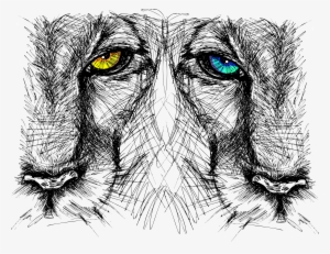 Drawn Lion Nature - Lion Eyes Sketch