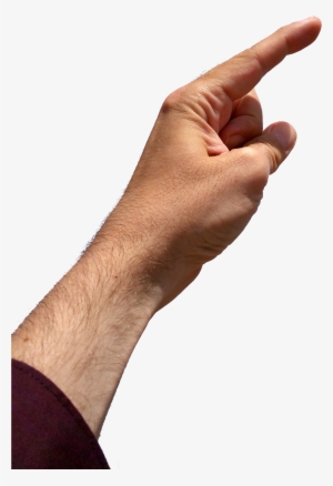 Pointing Left Hand In Sunlight Png