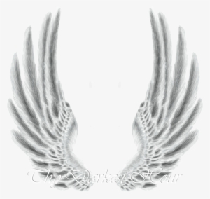 Wings - Wings Png For Photoshop