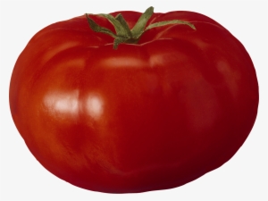 9 Tomato Png Image