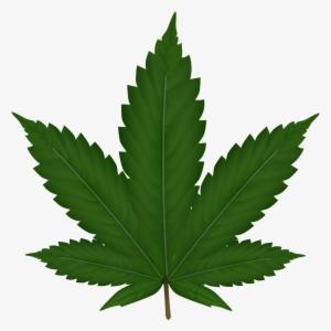 Cannabis Png