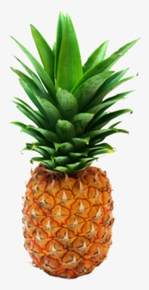Transparent Pineapple Png - Pineapple Transparent Background