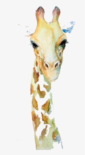 Northern Giraffe Watercolor Painting Art Drawing - Aquarelle Girafe
