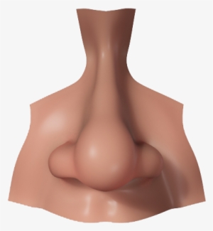 Nose Png Picture - Nose Png