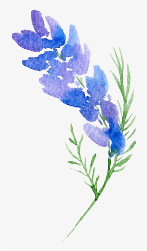 Design Flower Watercolor Painting Svg Stock - Flower Design Transparent Background