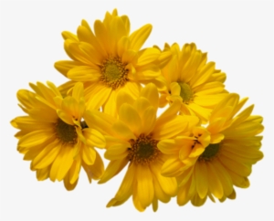 Yellow Flowers Bouquet Png Transparent Image - Yellow Flowers Png