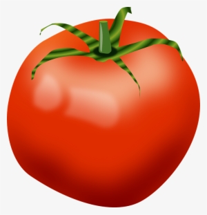 Tomato Clip Art Cartoon Png - Roma Tomato Clipart