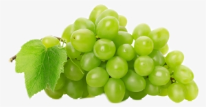 Grape Png Picture - Thompson Grapes