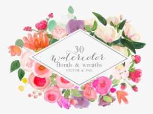 Watercolor Vector Png Image With Transparent Background - Garden Roses
