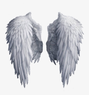 White Angel Wings Png - Angel Wings Png