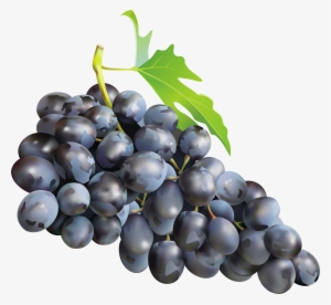 Black Grapes Png Clip Art Image - Grapes Png