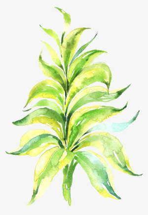 Watercolour - Clip Art