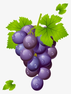 Grape With Leaves Png Clipart Picture - Grapes Clipart Png