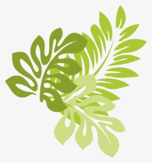 Jungle Leaves - Jungle Leaves Vector Png Transparent PNG - 552x594 - Free  Download on NicePNG