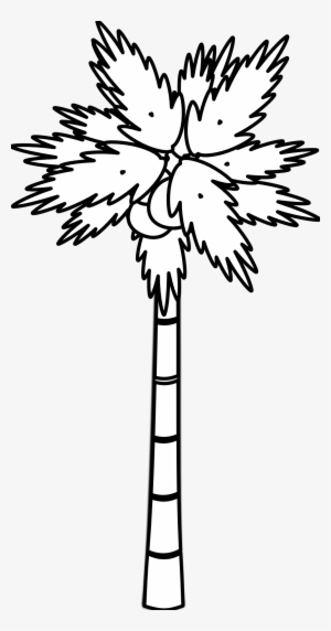 Simple Black And White Tree - Palm Clipart Black And White