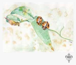 Lady Bug Watercolor, Illustration - Hornet