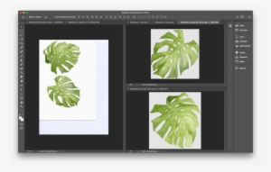 How To Digitize Watercolor - Watercolor Painting