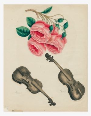 Cascading Roses