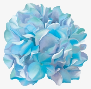 Thank You - Watercolor Hydrangeas Png