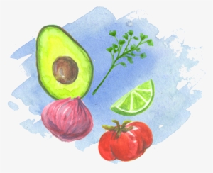 We Used Watercolor To Illustrate The Backs Of The Recipe - Watercolor Paint