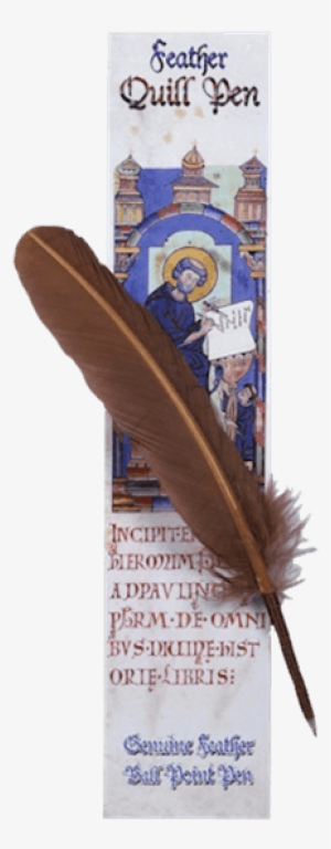 Feather Quill Pen - Anonymous St Jerome With The Decorated Initial