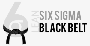 Lean Six Sigma Black Belt - Minute To Win It Back